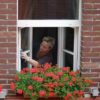 Woman cleaning exterior of window from inside city apartment