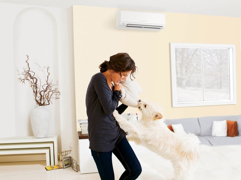 Ductless allergen HVAC solutions for pet owners